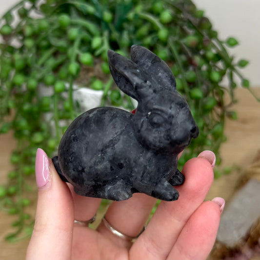 Larvikite Bunny (Y235)