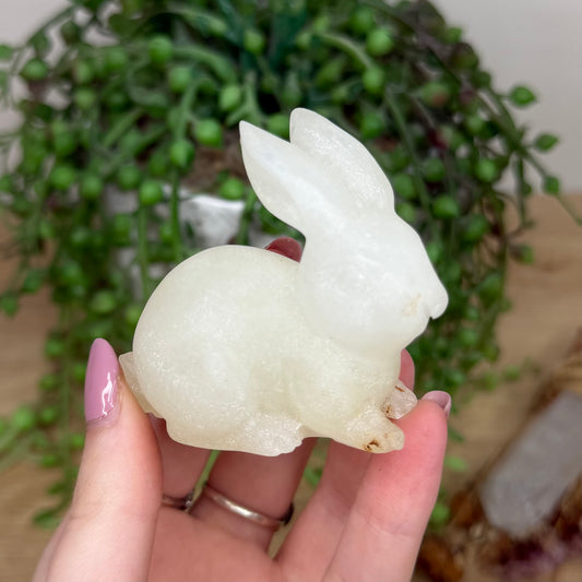 Afghan Jade Bunny (Y231)
