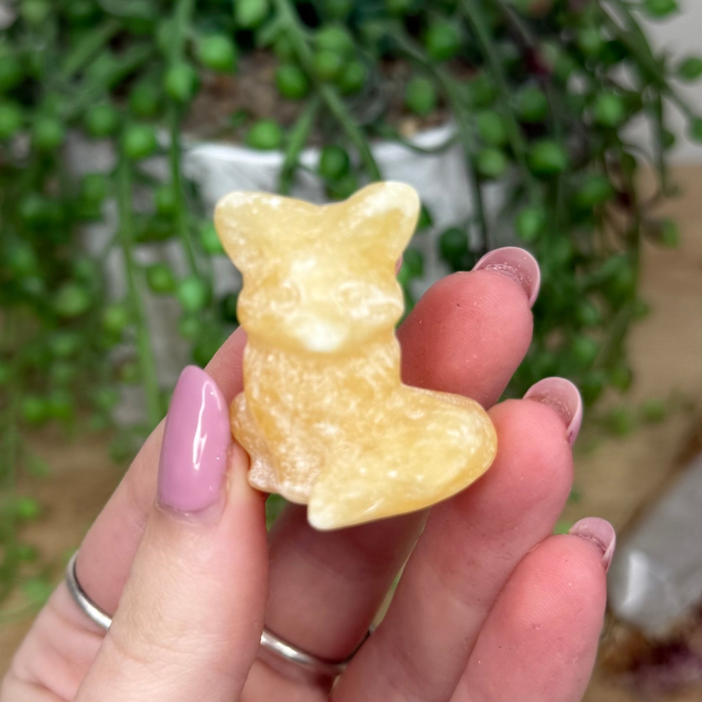 Yellow Calcite Fox (Y296) (Y925)