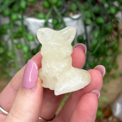Citrine Fox (Y298)