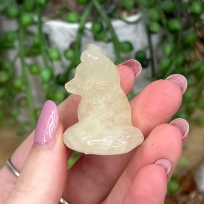 Citrine Fox (Y298)