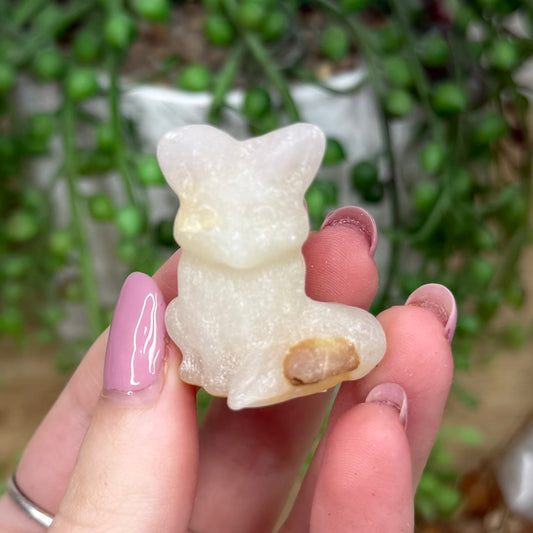Afghan Jade Fox (Y299)