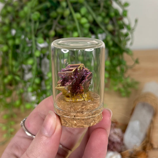 Bismuth In Jar (S654)