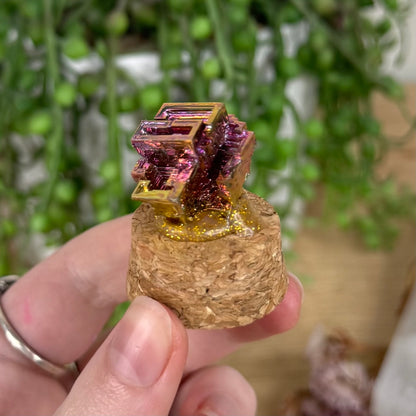 Bismuth In Jar (S654)