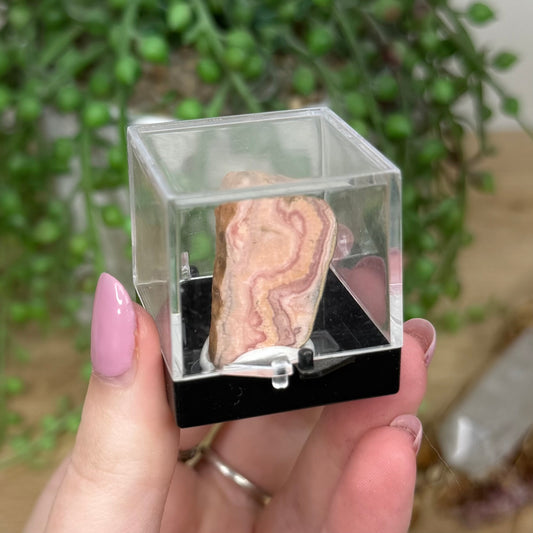 Rhodochrosite Specimen (Y154)
