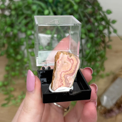 Rhodochrosite Specimen (Y154)