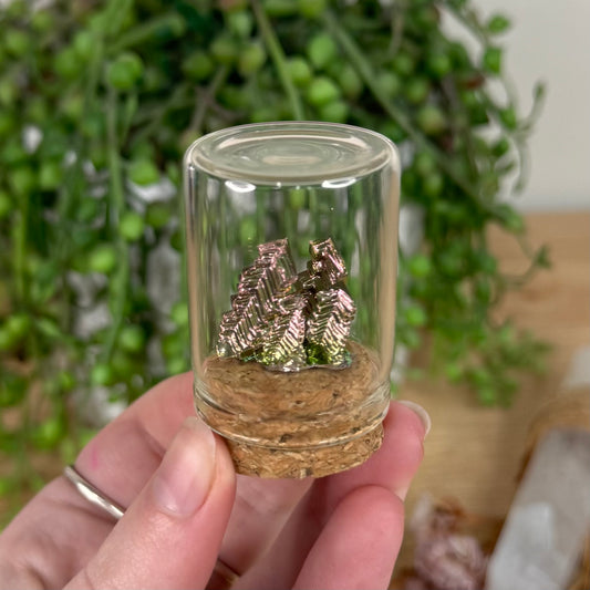 Bismuth In Jar (S649)