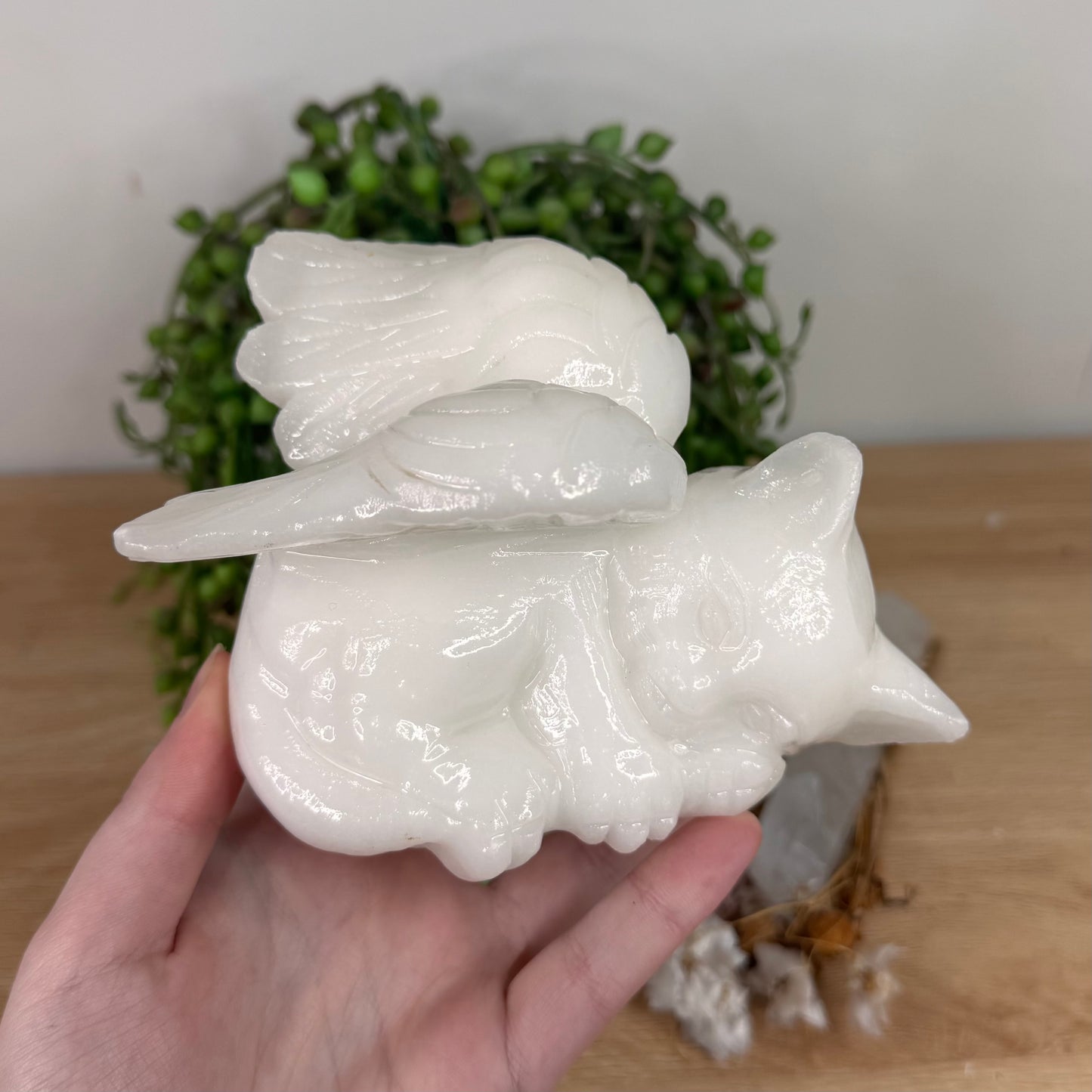 White Jade Angel Cat (S646)