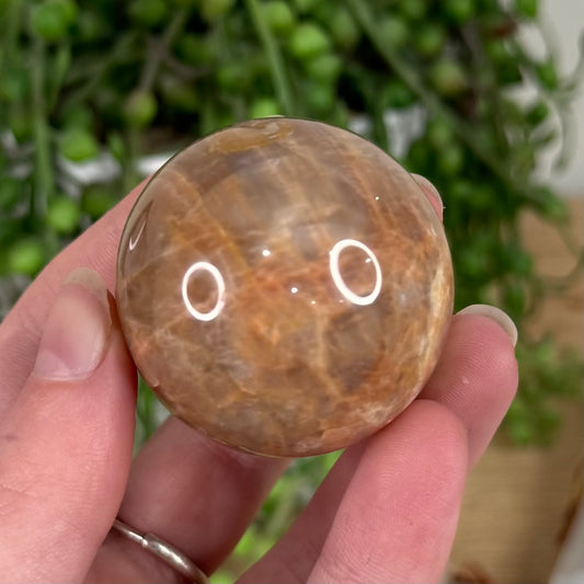 Peach Moonstone / Sunstone Sphere (S627)