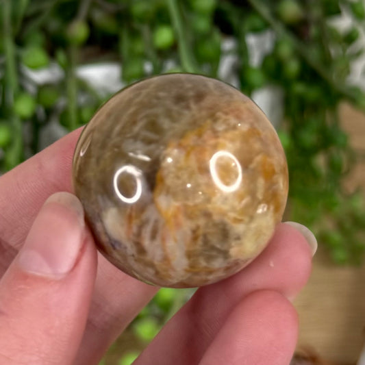 Peach Moonstone / Sunstone Sphere (S617)
