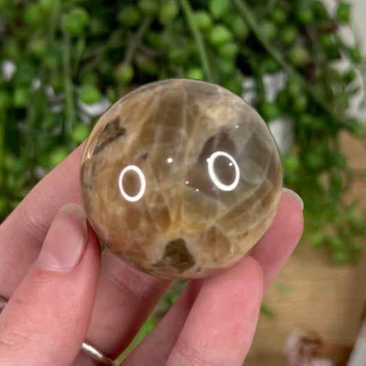 Peach Moonstone / Sunstone Sphere (S625)