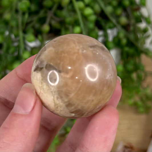 Peach Moonstone / Sunstone Sphere (S626)