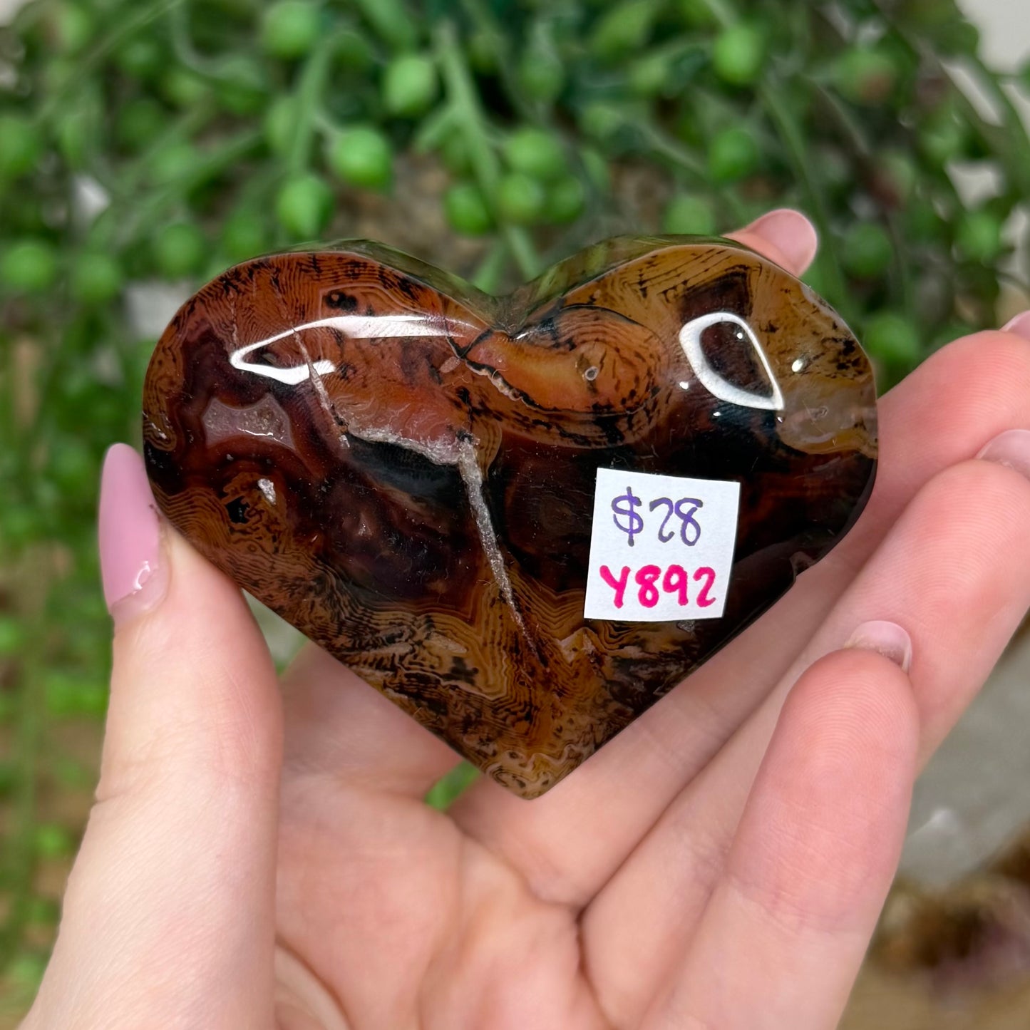 Sardonyx Heart (Y892)