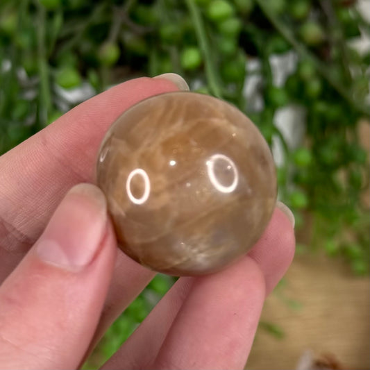 Peach Moonstone / Sunstone Sphere (S607)