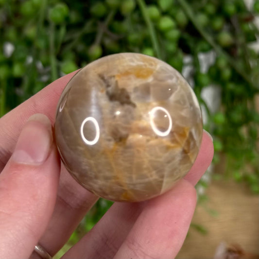 Peach Moonstone / Sunstone Sphere (S622)
