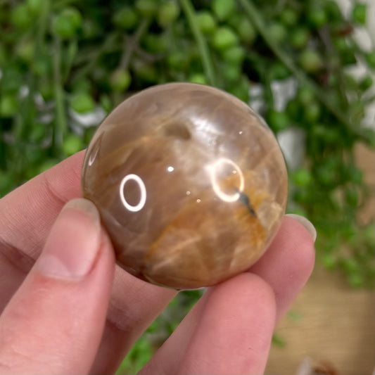 Peach Moonstone / Sunstone Sphere (S618)