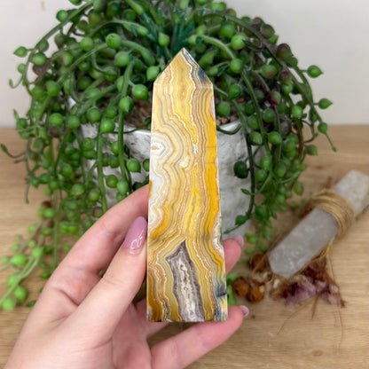 Crazy Lace Agate Tower (Y799)