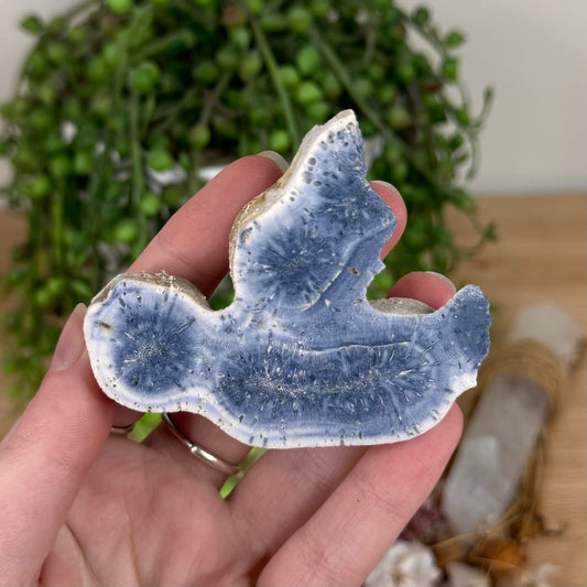 Blue Coral Slab (S596)