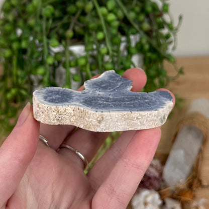 Blue Coral Slab (S596)