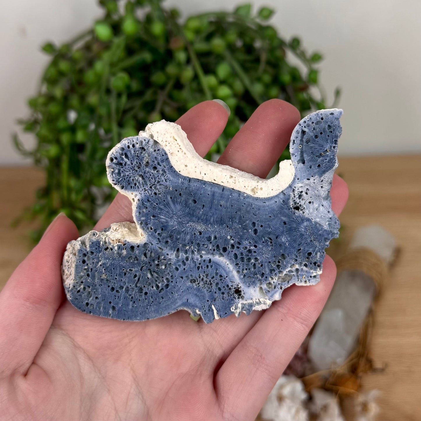 Blue Coral Slab (S598)