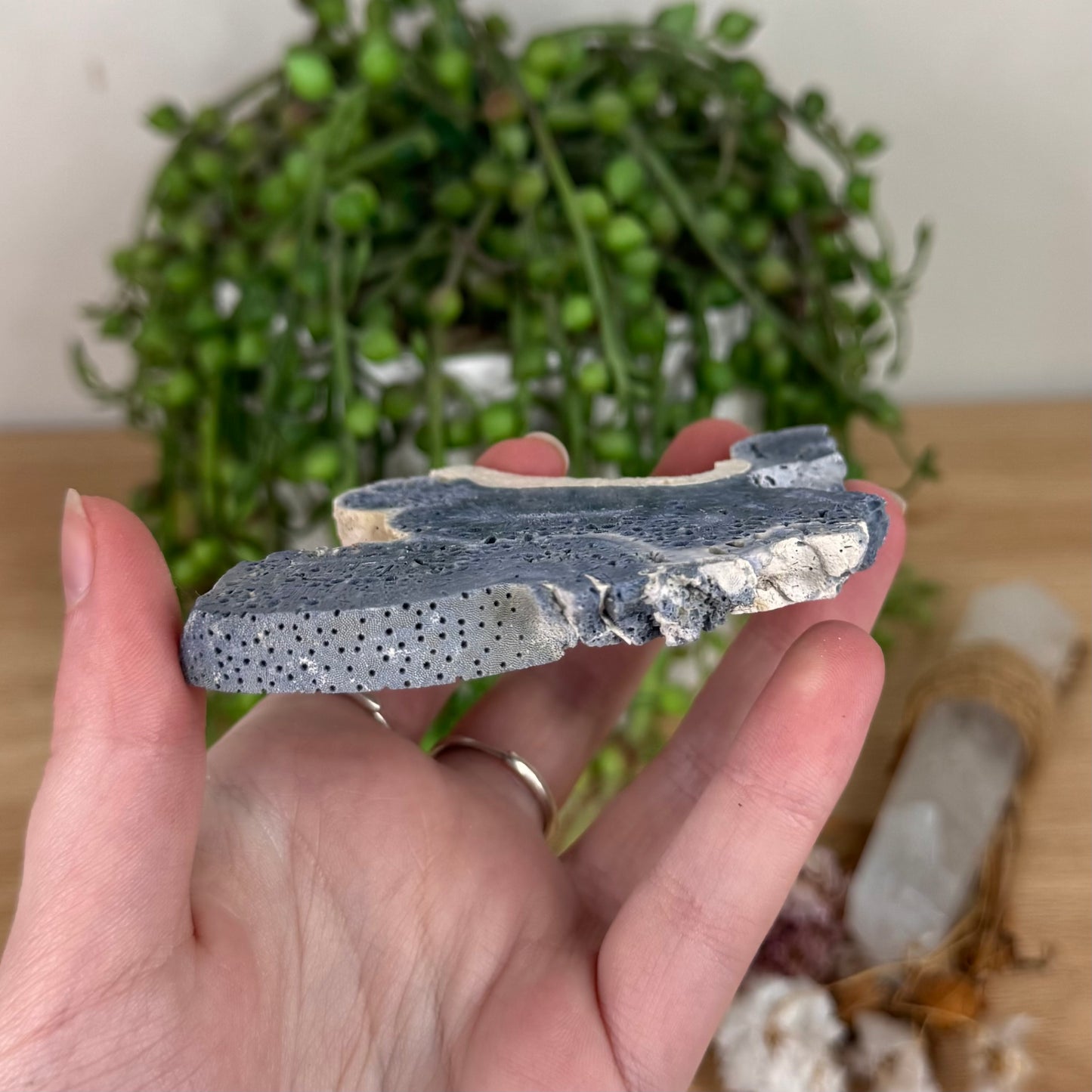 Blue Coral Slab (S598)