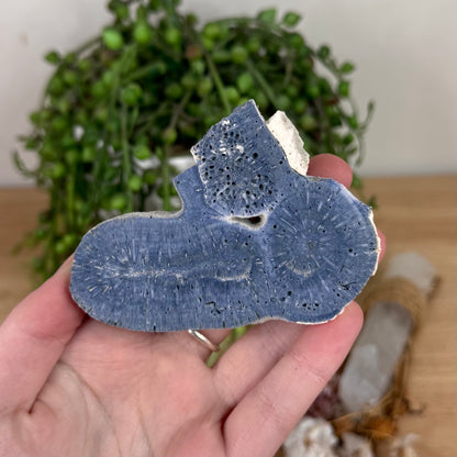 Blue Coral Slab (S597)