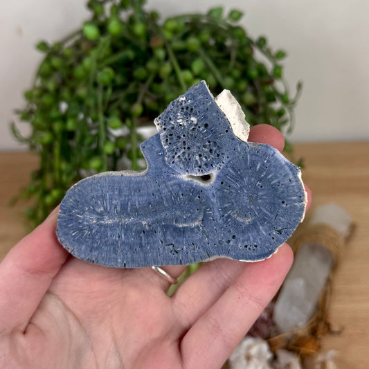 Blue Coral Slab (S597)