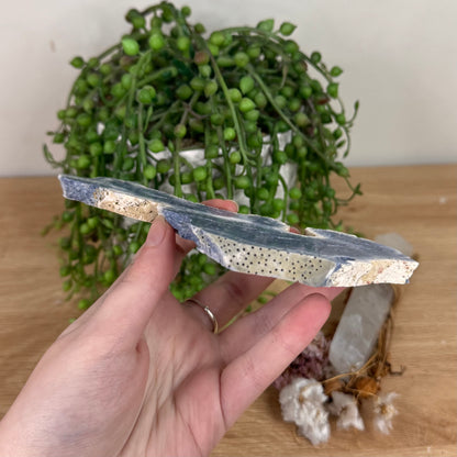 Blue Coral Slab (S602)