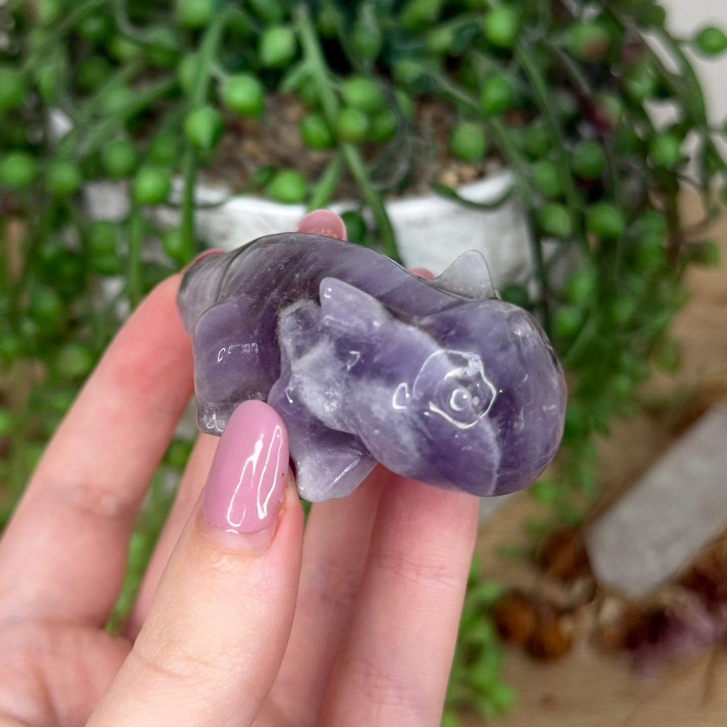 Dream Amethyst Axolotl (Y440)