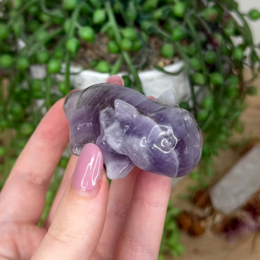 Dream Amethyst Axolotl (Y440)