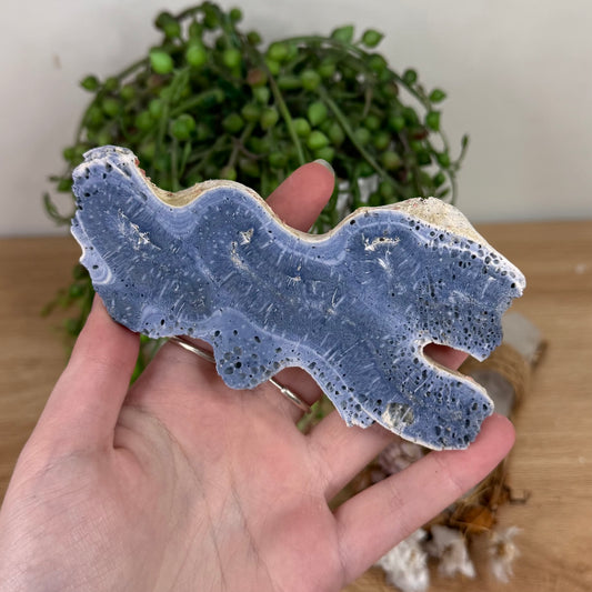 Blue Coral Slab (S605)