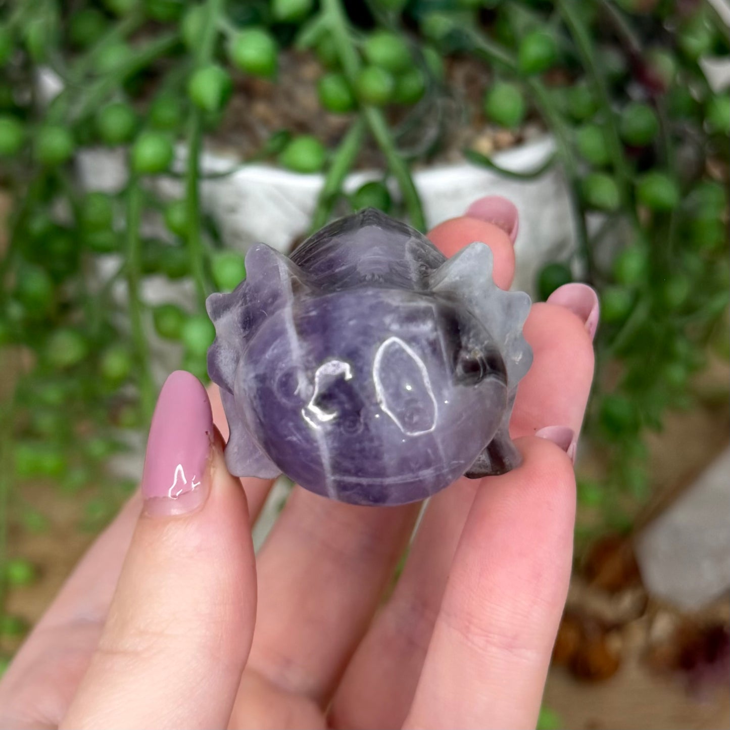 Dream Amethyst Axolotl (Y440)