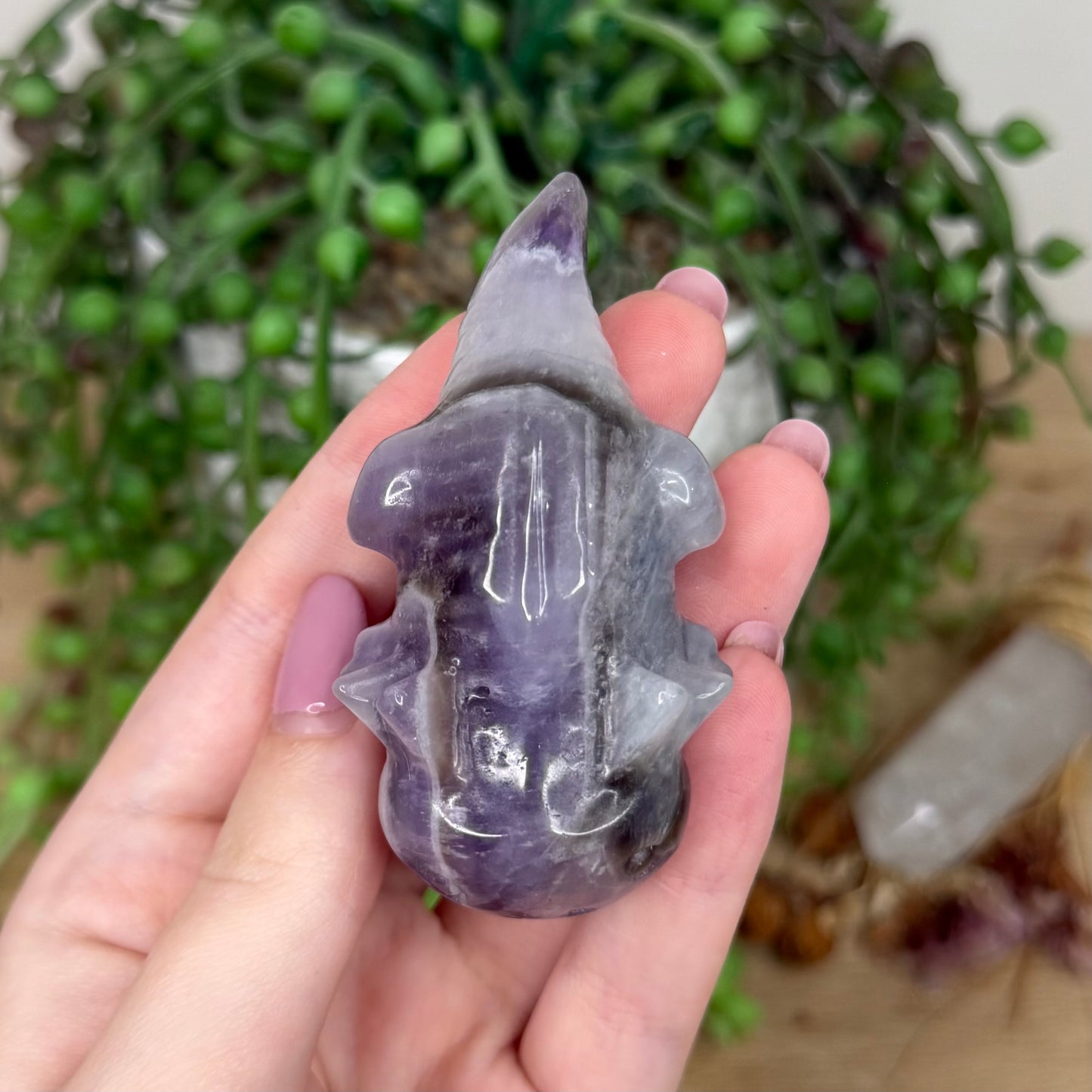 Dream Amethyst Axolotl (Y440)