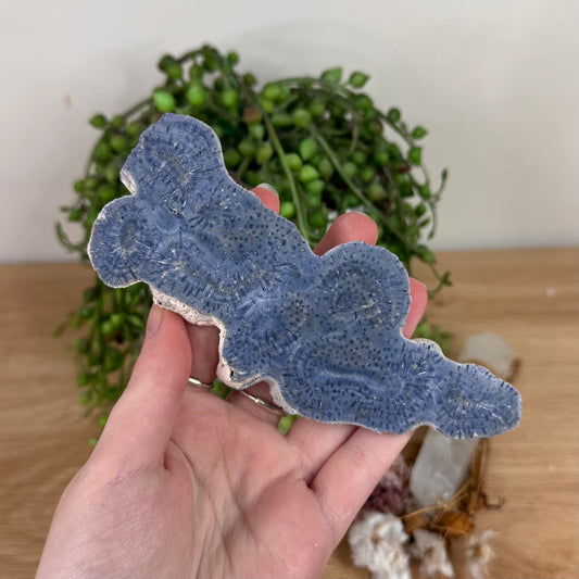 Blue Coral Slab (S604)