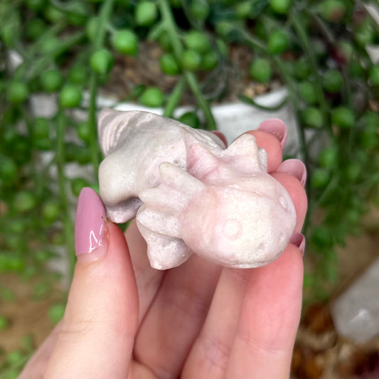 Pink Opal Axolotl (Y438)