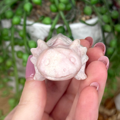 Pink Opal Axolotl (Y438)