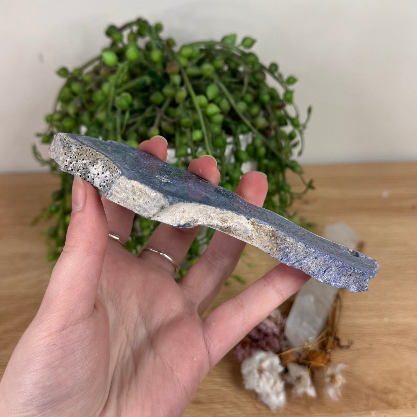 Blue Coral Slab (S601)