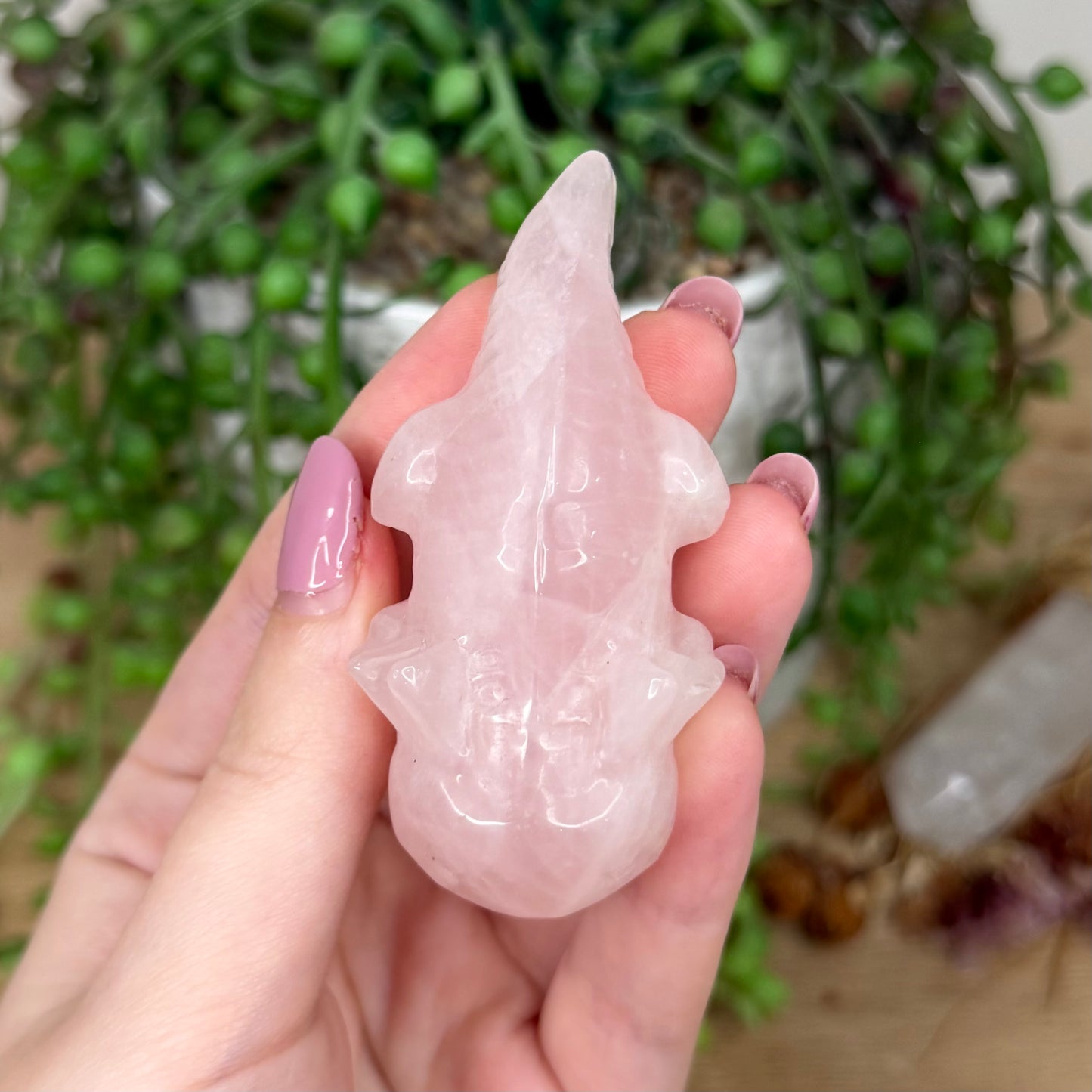 Rose Quartz Axolotl (Y503)