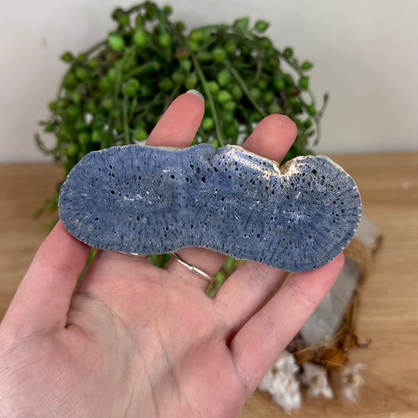 Blue Coral Slab (S599)