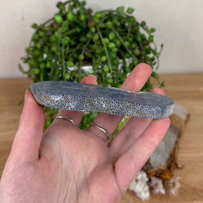 Blue Coral Slab (S599)