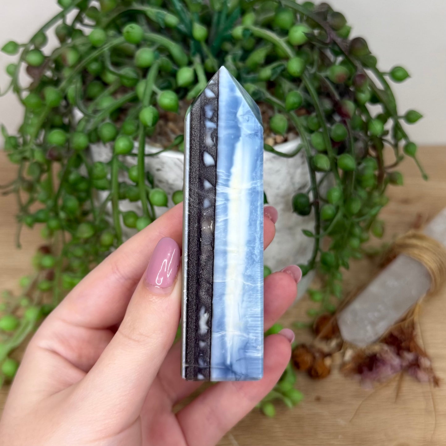 Owyhee Blue Opal Point (Y570)