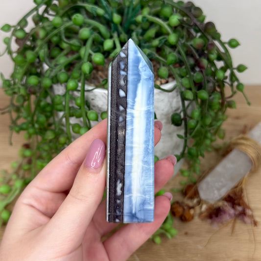 Owyhee Blue Opal Point (Y570)