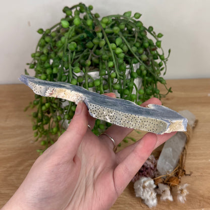 Blue Coral Slab (S603)