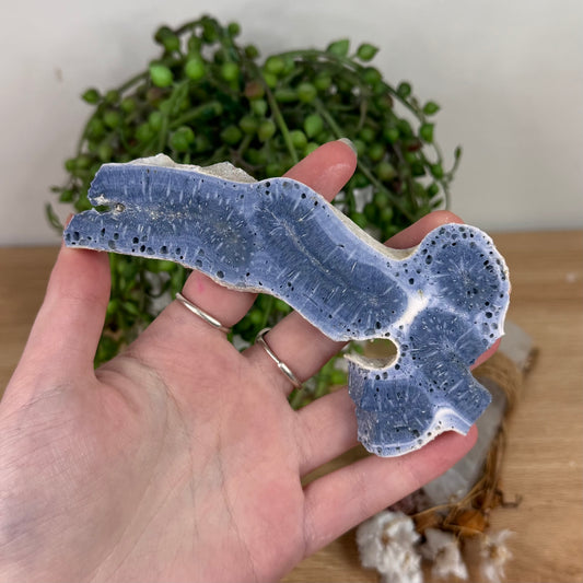 Blue Coral Slab (S600)