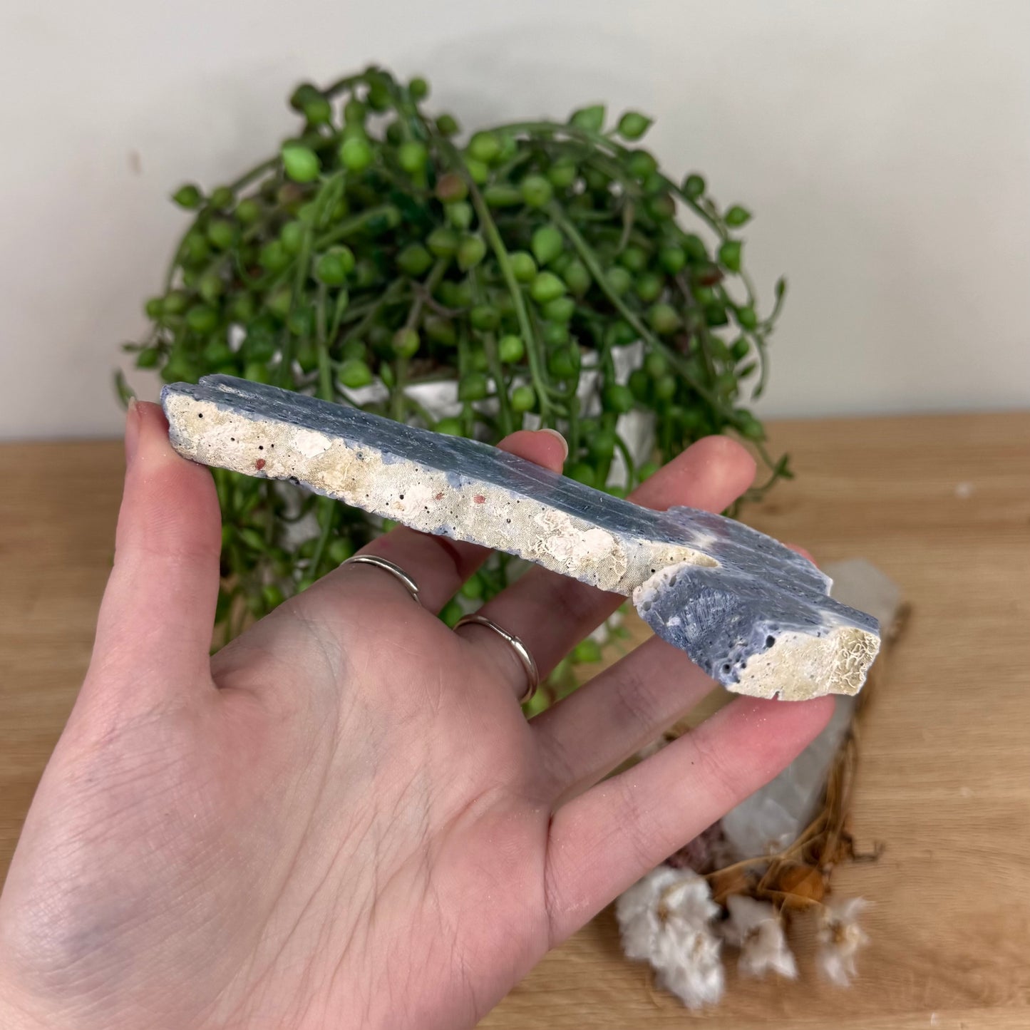 Blue Coral Slab (S600)