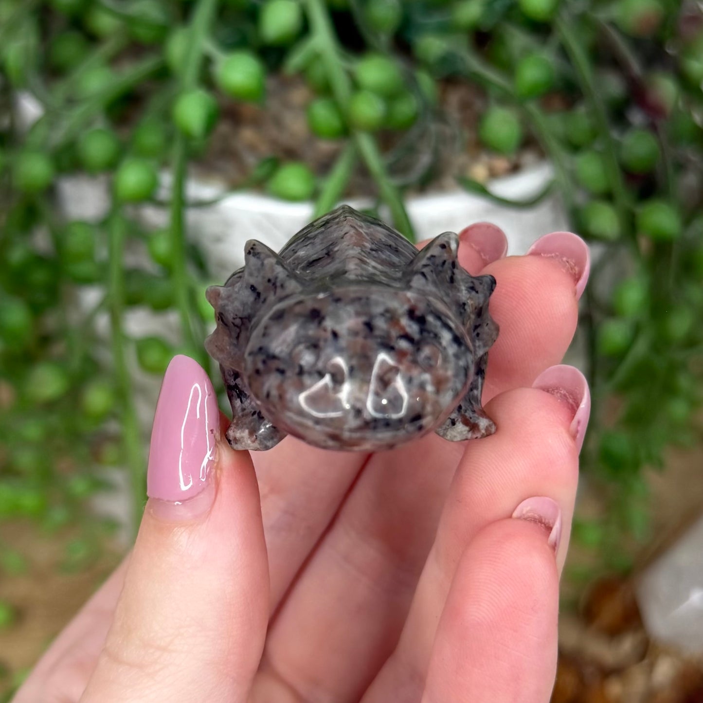 Yooperlite Axolotl (Y505)