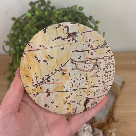Picture Stone Jasper Disc (S564)