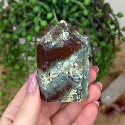 Chrysoprase Domino Point (Y808)