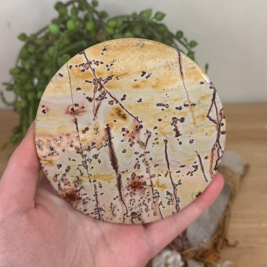 Picture Stone Jasper Disc (S561)