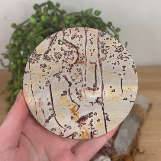 Picture Stone Jasper Disc (S563)